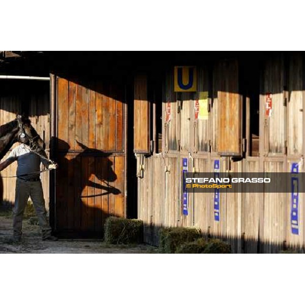 Moments and Emotions at SGA Selected Yearling Sale Settimo Milanese (MI), 16-17th sept.2011 ph.Stefano Grasso