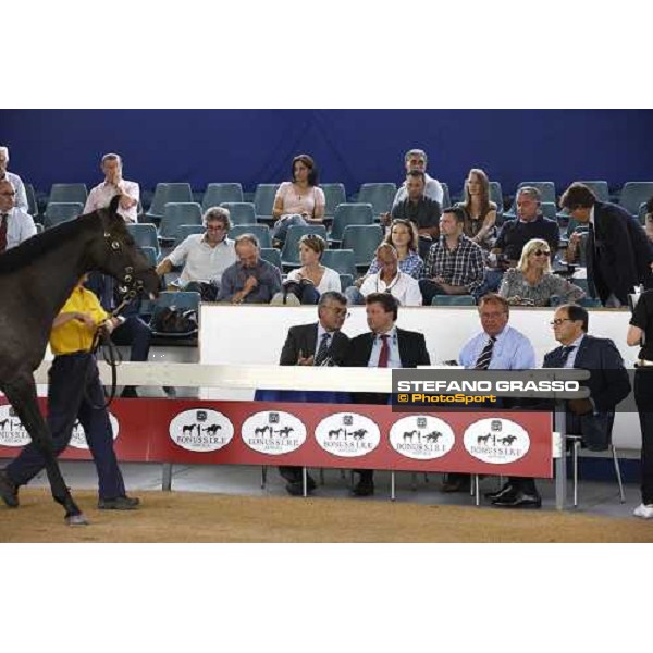 Moments and Emotions at SGA Selected Yearling Sale Settimo Milanese (MI), 16-17th sept.2011 ph.Stefano Grasso