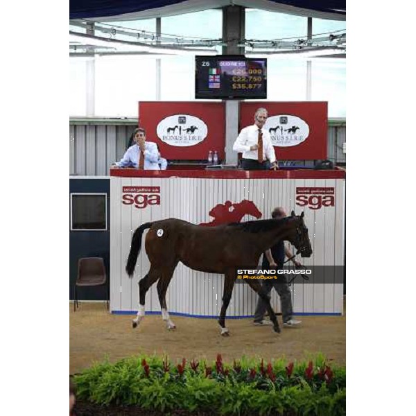 Moments and Emotions at SGA Selected Yearling Sale Settimo Milanese (MI), 16-17th sept.2011 ph.Stefano Grasso