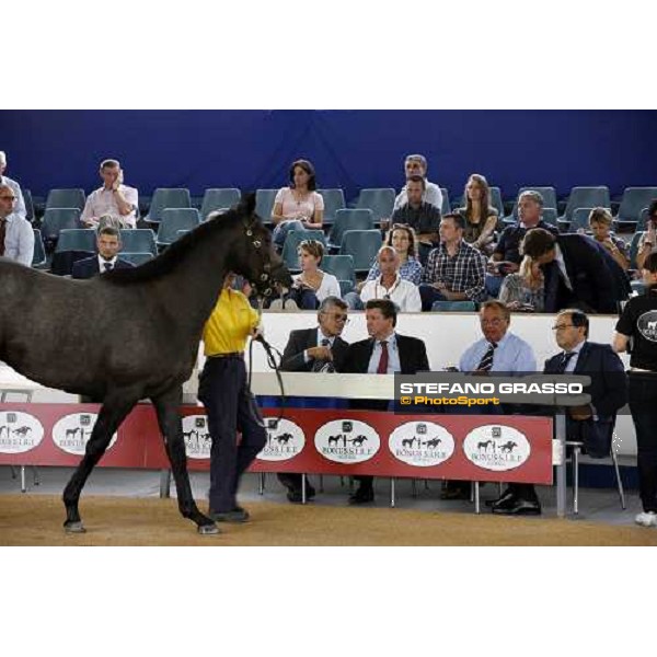 Moments and Emotions at SGA Selected Yearling Sale Settimo Milanese (MI), 16-17th sept.2011 ph.Stefano Grasso