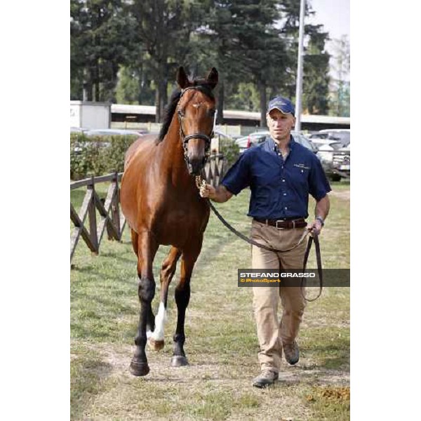 Moments and Emotions at SGA Selected Yearling Sale - The Top Price - n.78 Dubawi and Windy Britain - sold at Euro 210.000 Settimo Milanese (MI), 16-17th sept.2011 ph.Stefano Grasso