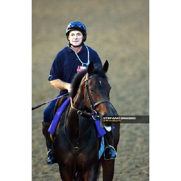 Ouija Board returning home after morning works at Lone Star Park Dallas, 27th october 2004 ph. Stefano Grasso