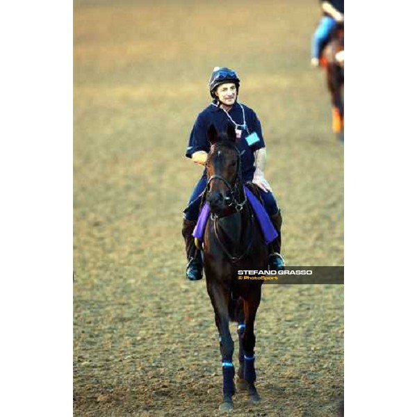 Ouija Board returning home after morning works at Lone Star Park Dallas, 27th october 2004 ph. Stefano Grasso
