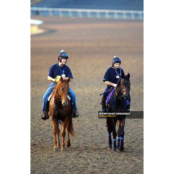 Ouija Board at right, returning home after morning works at Lone Star Park Dallas, 27th october 2004 ph. Stefano Grasso