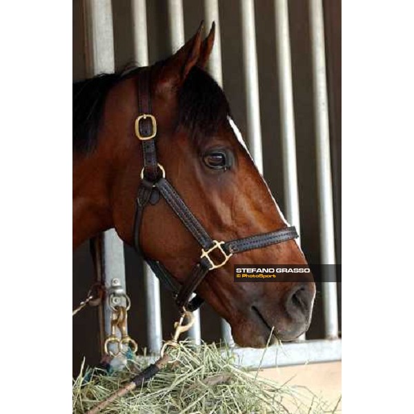 close up for Magistretti Dallas, 27th october 2004 ph. Stefano Grasso