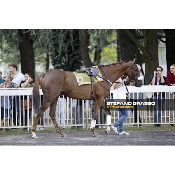 72° Gran Premio Merano Forst Chercheur d\'Or winner of the 72° Gran Premio Merano Forst Merano, Maia racetrack, 25th sept.2011 ph.Stefano Grasso