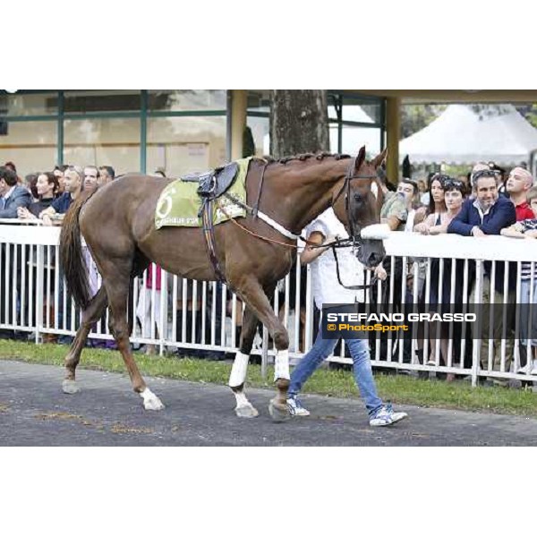 72° Gran Premio Merano Forst Chercheur d\'Or winner of the 72° Gran Premio Merano Forst Merano, Maia racetrack, 25th sept.2011 ph.Stefano Grasso
