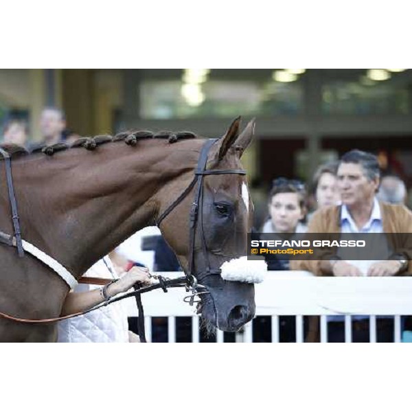 72° Gran Premio Merano Forst Chercheur d\'Or winner of the 72° Gran Premio Merano Forst Merano, Maia racetrack, 25th sept.2011 ph.Stefano Grasso