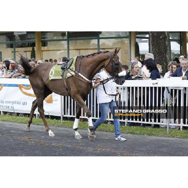 72° Gran Premio Merano Forst Chercheur d\'Or winner of the 72° Gran Premio Merano Forst Merano, Maia racetrack, 25th sept.2011 ph.Stefano Grasso