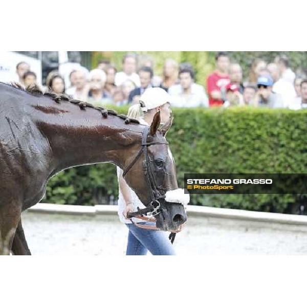 72° Gran Premio Merano Forst Chercheur d\'Or winner of the 72° Gran Premio Merano Forst Merano, Maia racetrack, 25th sept.2011 ph.Stefano Grasso