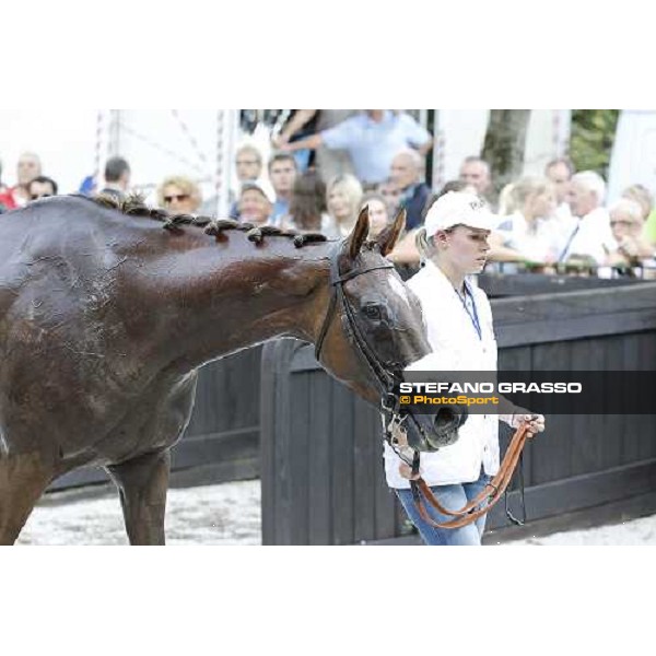 72° Gran Premio Merano Forst Chercheur d\'Or winner of the 72° Gran Premio Merano Forst Merano, Maia racetrack, 25th sept.2011 ph.Stefano Grasso