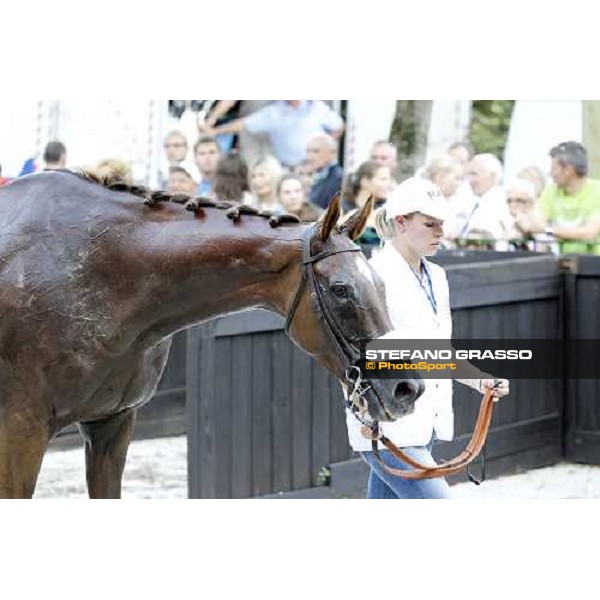 72° Gran Premio Merano Forst Chercheur d\'Or winner of the 72° Gran Premio Merano Forst Merano, Maia racetrack, 25th sept.2011 ph.Stefano Grasso