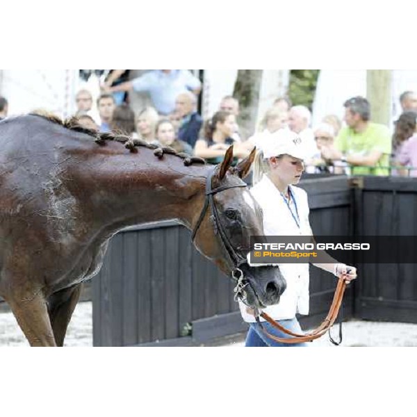 72° Gran Premio Merano Forst Chercheur d\'Or winner of the 72° Gran Premio Merano Forst Merano, Maia racetrack, 25th sept.2011 ph.Stefano Grasso