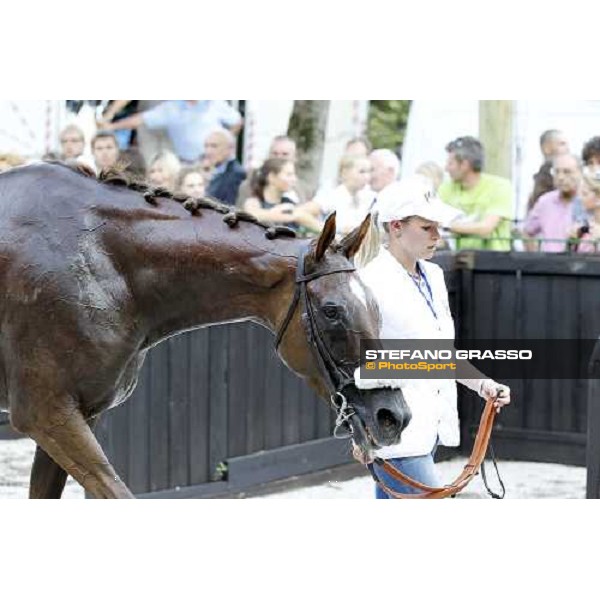 72° Gran Premio Merano Forst Chercheur d\'Or winner of the 72° Gran Premio Merano Forst Merano, Maia racetrack, 25th sept.2011 ph.Stefano Grasso