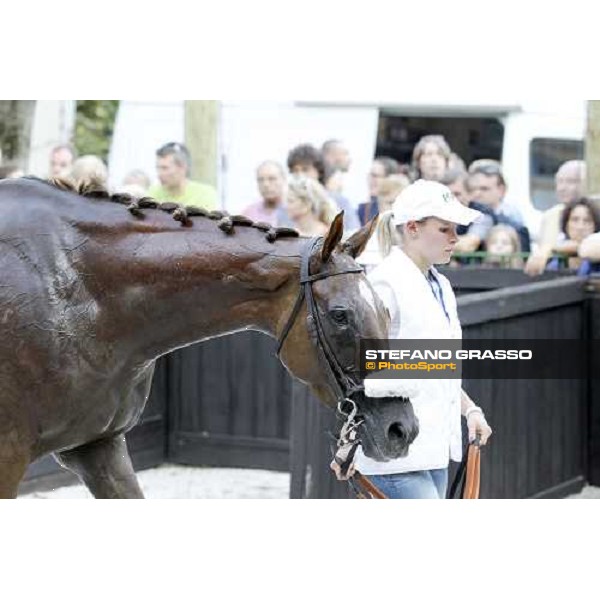 72° Gran Premio Merano Forst Chercheur d\'Or winner of the 72° Gran Premio Merano Forst Merano, Maia racetrack, 25th sept.2011 ph.Stefano Grasso