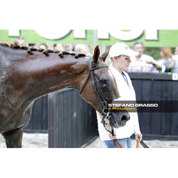 72° Gran Premio Merano Forst Chercheur d\'Or winner of the 72° Gran Premio Merano Forst Merano, Maia racetrack, 25th sept.2011 ph.Stefano Grasso
