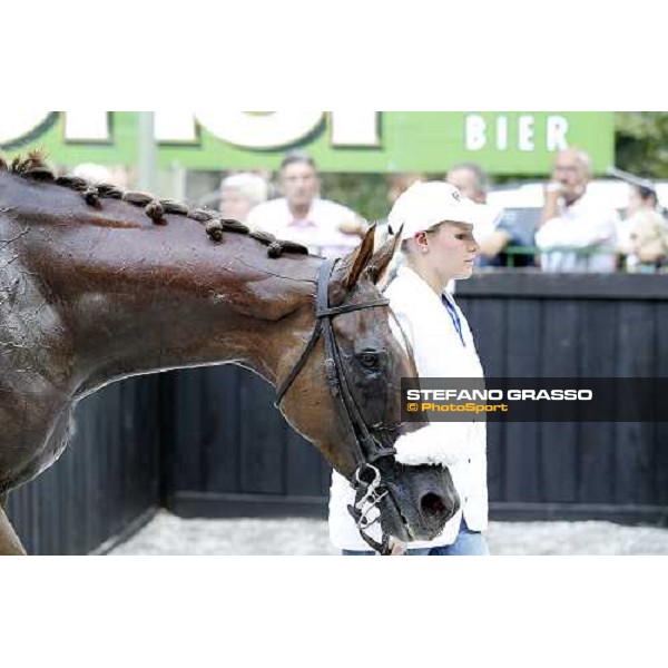 72° Gran Premio Merano Forst Chercheur d\'Or winner of the 72° Gran Premio Merano Forst Merano, Maia racetrack, 25th sept.2011 ph.Stefano Grasso