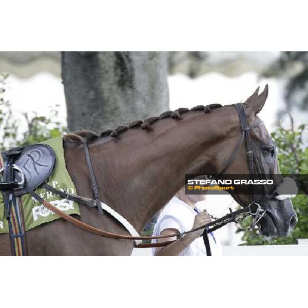 72° Gran Premio Merano Forst Chercheur d\'Or winner of the 72° Gran Premio Merano Forst Merano, Maia racetrack, 25th sept.2011 ph.Stefano Grasso