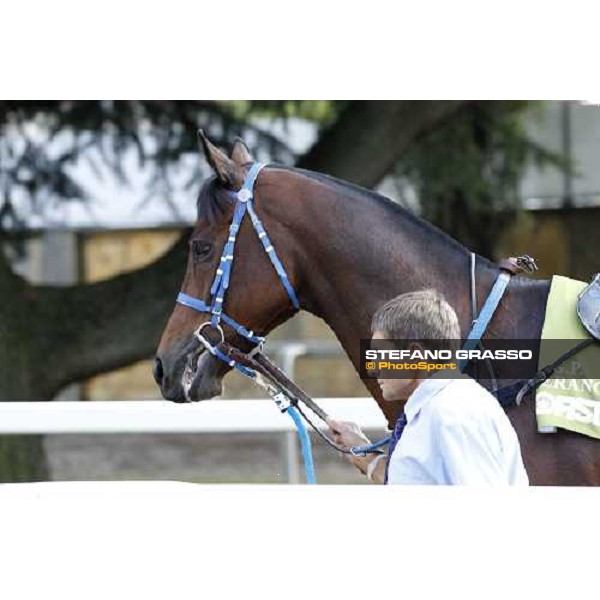 72° Gran Premio Merano Forst Josef Vana and Budapest Merano, Maia racetrack, 25th sept.2011 ph.Stefano Grasso