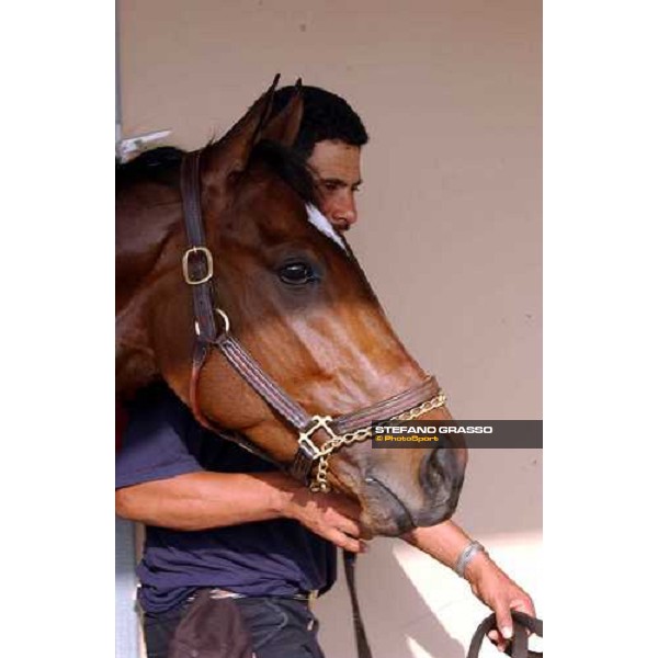 Sense of Style runner of Juveline Fillies Dallas, 27th october 2004 ph. Stefano Grasso