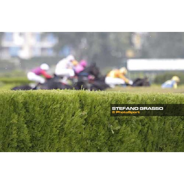 72° Gran Premio Merano Forst Merano, Maia racetrack, 25th sept.2011 ph.Stefano Grasso