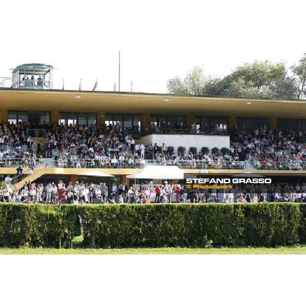 Merano Maia Merano, Maia racetrack, 25th sept.2011 ph.Stefano Grasso