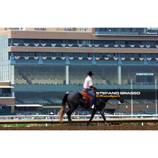 morning works at Lone Star Park Dallas, 27th october 2004 ph. Stefano Grasso