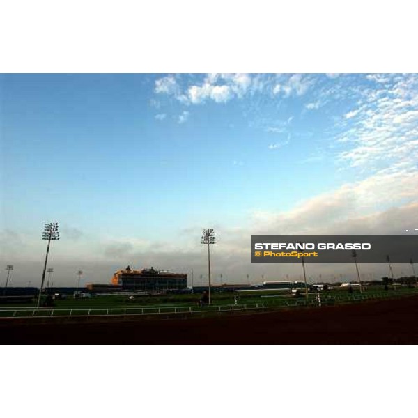 Lone Star Park race track Dallas, 27th october 2004 ph. Stefano Grasso