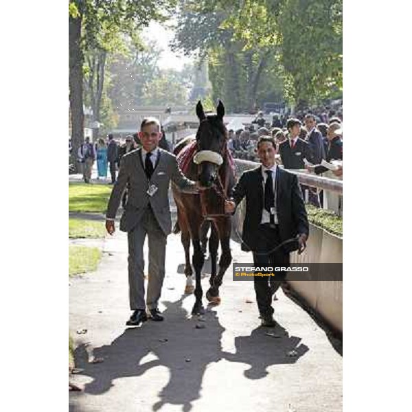 Worthadd and Paolo Paciello- Qatar Prix de la Foret Paris - Longchamp, 2nd oct.2011 ph.Stefano Grasso