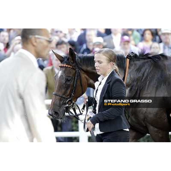 Danedream and her groom after winning the Qatar Prix de L\'Arc de Triomphe Paris-Longchamp racetrack, 2nd oct. 2011 ph.Stefano Grasso