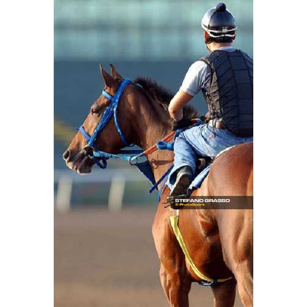 looking at the track at Lone Star PArk Dallas, 27th october 2004 ph. Stefano Grasso