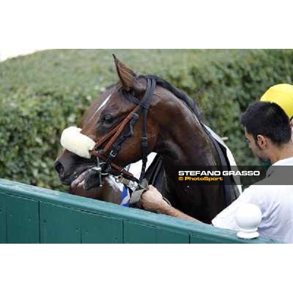 Alessandro Fiori and Bettolle win the Premio Tonale Milano - San Siro racetrack, 24th sept.2011 ph.Stefano Grasso