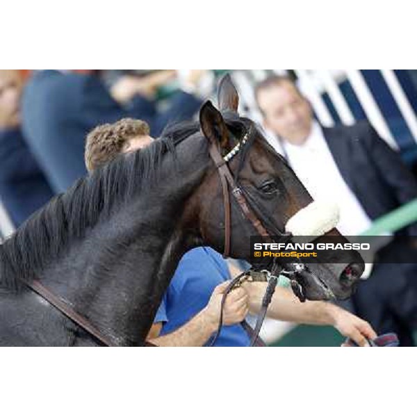 Dadga Mor winner of Premio Cancelli Milano - San Siro racetrack, 24th sept.2011 ph.Stefano Grasso