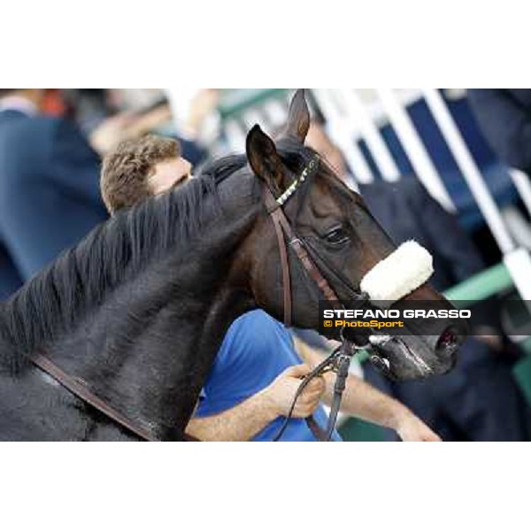 Dadga Mor winner of Premio Cancelli Milano - San Siro racetrack, 24th sept.2011 ph.Stefano Grasso