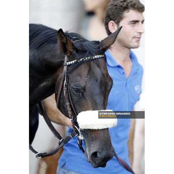 Dadga Mor winner of Premio Cancelli Milano - San Siro racetrack, 24th sept.2011 ph.Stefano Grasso