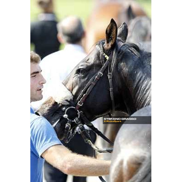 Dadga Mor winner of Premio Cancelli Milano - San Siro racetrack, 24th sept.2011 ph.Stefano Grasso