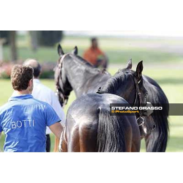 Dadga Mor winner of Premio Cancelli Milano - San Siro racetrack, 24th sept.2011 ph.Stefano Grasso