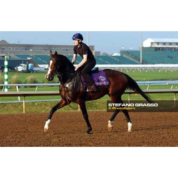 Powerscourt during morning works at Lone Star Park Dallas, 28th october 2004 ph. Stefano Grasso