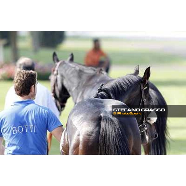 Dadga Mor winner of Premio Cancelli Milano - San Siro racetrack, 24th sept.2011 ph.Stefano Grasso