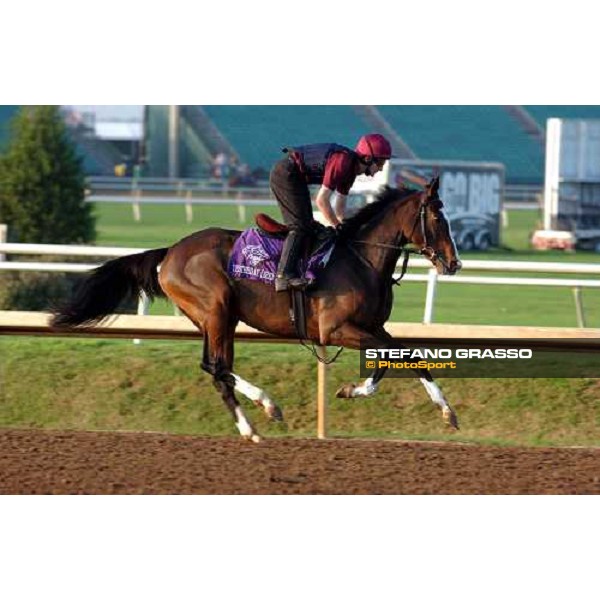 Yesterday during morning works at Lone Star Park Dallas, 28th october 2004 ph. Stefano Grasso