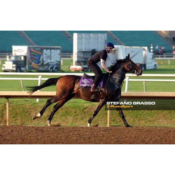 Powerscourt during morning works at Lone Star Park Dallas, 28th october 2004 ph. Stefano Grasso