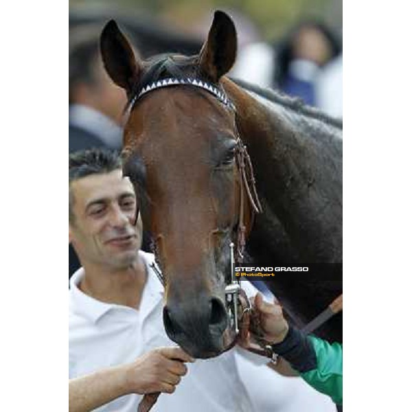 Rosa Eglanteria Milano - San Siro racetrack, 24th sept.2011 ph.Stefano Grasso