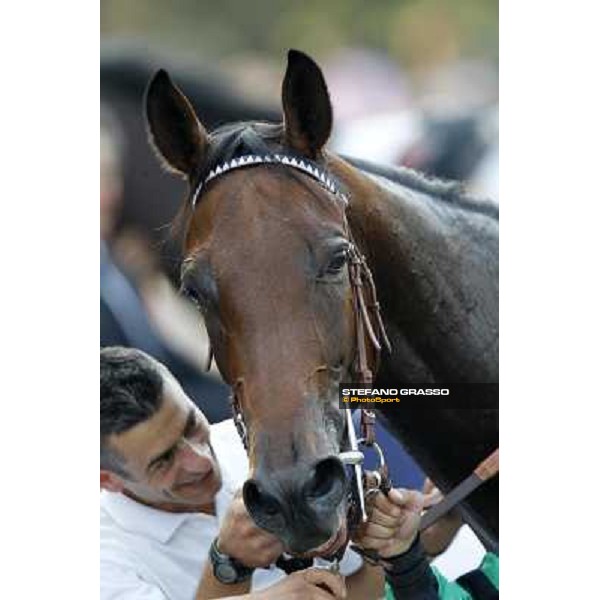 Rosa Eglanteria Milano - San Siro racetrack, 24th sept.2011 ph.Stefano Grasso