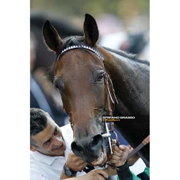 Rosa Eglanteria Milano - San Siro racetrack, 24th sept.2011 ph.Stefano Grasso