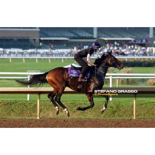 Powerscourt during morning works at Lone Star Park Dallas, 28th october 2004 ph. Stefano Grasso