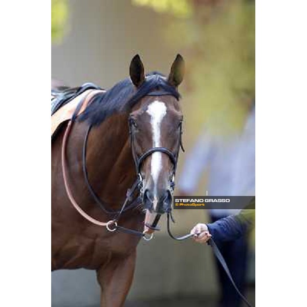 Fanunalter Milano - San Siro racetrack, 24th sept.2011 ph.Stefano Grasso