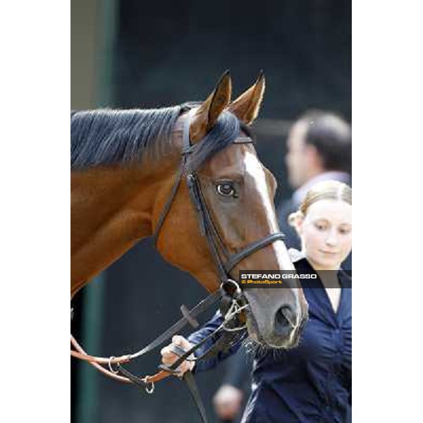 Fanunalter Milano - San Siro racetrack, 24th sept.2011 ph.Stefano Grasso