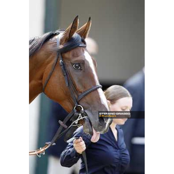Fanunalter Milano - San Siro racetrack, 24th sept.2011 ph.Stefano Grasso