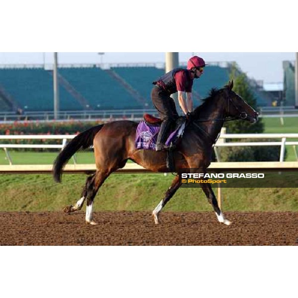 Yesterday during morning works at Lone Star Park Dallas, 28th october 2004 ph. Stefano Grasso