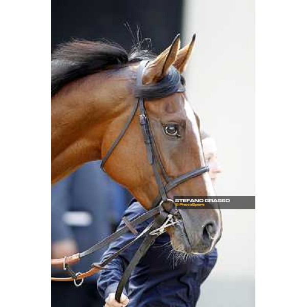 Fanunalter Milano - San Siro racetrack, 24th sept.2011 ph.Stefano Grasso